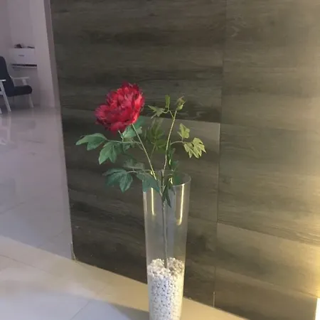 La Perla Daire Puerto de la Cruz (Tenerife)