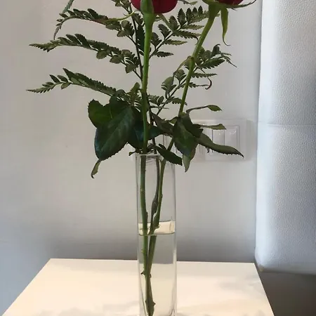 La Perla Daire Puerto de la Cruz (Tenerife)